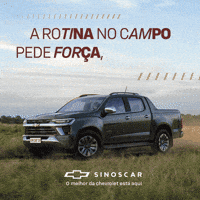 Picapeiros GIF by Sinoscarrs