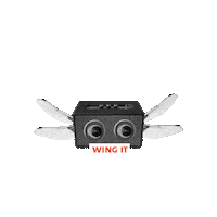 Flying Go Wild Sticker by The EPO