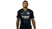 France Reaction Sticker by Bundesliga