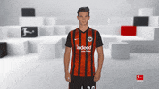 Posing Line Up GIF by Bundesliga