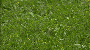 Butterfly Motorsport GIF by MotoGP™