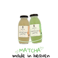 Match Love Sticker by Craft Tea Fox