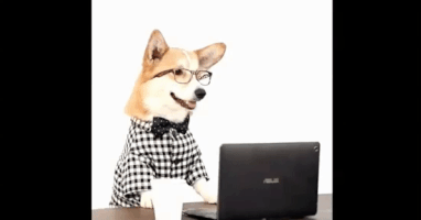 GIF by Shorty Awards