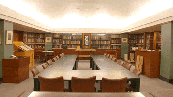rit_tigers college rochester rit rochester institute of technology GIF