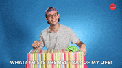 Best Day Ever Cats GIF by BuzzFeed