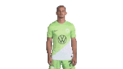 Football Changing Sticker by VfL Wolfsburg