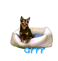 아르르 Sticker by arrr_official
