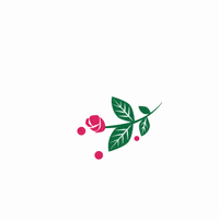 mylooki ялукоман mylooki лукоман GIF