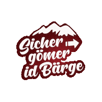 lenksimmental switzerland schweiz lst lenk Sticker