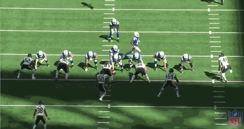 bears unrein GIF