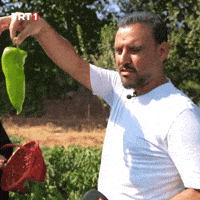 Look Shut Up GIF by TRT