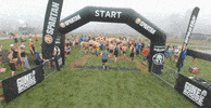 GIF by Respective