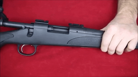 AmericanFirearms giphygifmaker GIF