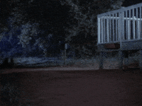 Wolf Pack Running GIF