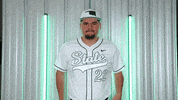 Baseball Nsu GIF by RiverHawk Sports
