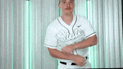 Baseball Nsu GIF by RiverHawk Sports