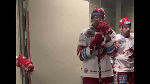 High Five Ice Hockey GIF by HC Oceláři Třinec