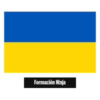Flag Pixel Art Sticker by Formación Ninja
