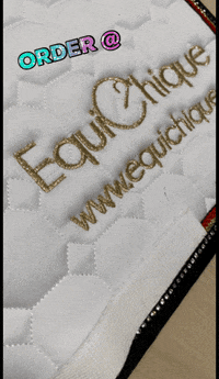EquiChique dressage equichique GIF