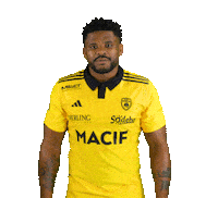 Rugby Sticker by Stade Rochelais