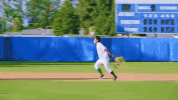 happy red sox GIF by Guava Juice