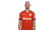 Bayer Leverkusen Reaction Sticker by Bundesliga