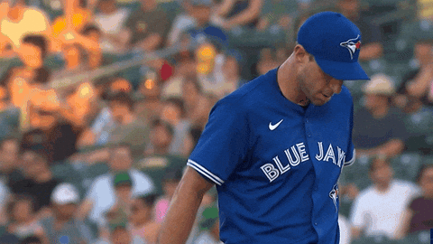 Blue Jays Baseball GIF by Toronto Blue Jays