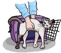 Cat Sticker
