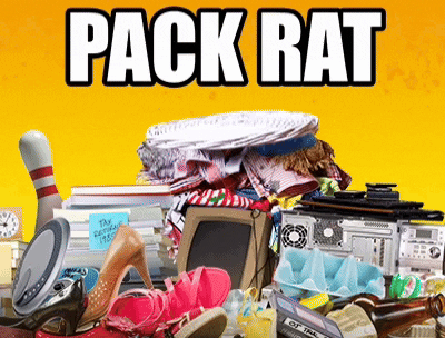 Pack Rat Cryptocurrency GIF by MultiversX