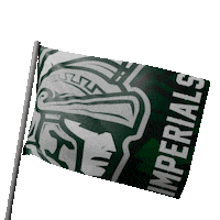 Football Nfl Sticker by IMPERIALSREUS