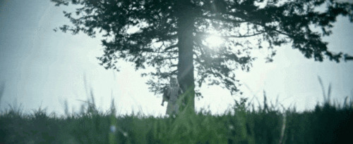 lionsgate GIF by The Age of Adaline