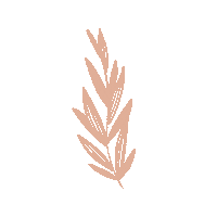 Tattoo Plant Sticker