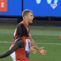 Celebrate Aussie Rules GIF by Essendon FC