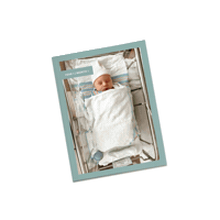 Bfy Sticker by Chatbooks