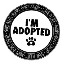 Adopt Animal Rescue Sticker