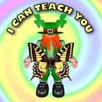 Coach Learn GIF