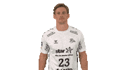 Handball-Bundesliga Love Sticker by LIQUI MOLY HBL