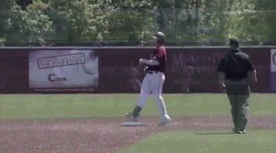 salukigifs yes GIF by SIUSalukis