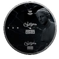 Vinyl Hardstyle Sticker by Coliseum_Almudevar