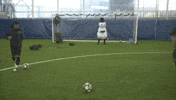 Man City Football GIF by Manchester City