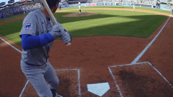 Chicago Cubs Baseball GIF by TheDreamTeam 