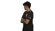 Eintracht Frankfurt Fifa Sticker by Bundesliga