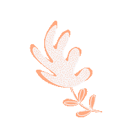 Leaf Peach Sticker