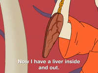 all grown up nicksplat GIF