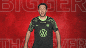 Vfl Wolfsburg Cheering GIF by Bundesliga