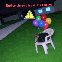 Cat GIF