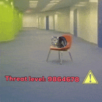 Cat GIF