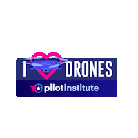 Drone Sticker by Pilot Institute