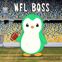 American Football GIF by Abster