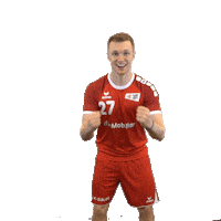 swisshandball_official handball schweiz swiss swisshandball Sticker